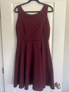 Sleeveless Wine Burgundy Textured Fit & Flare Mini Dress